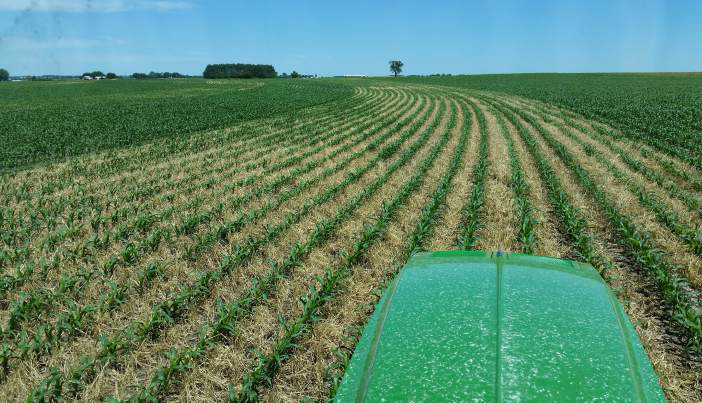 N Fertilizer Strategies for Corn Following Cover Crop