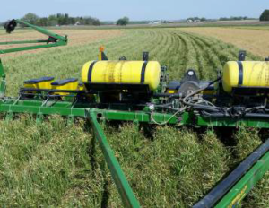 N Fert Strategies Photo 2