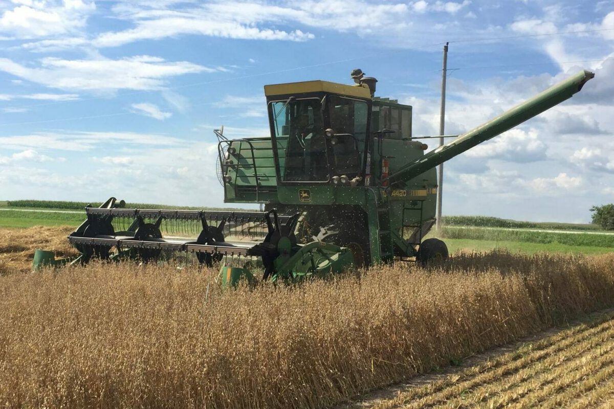 Oat Variety Trial 2018