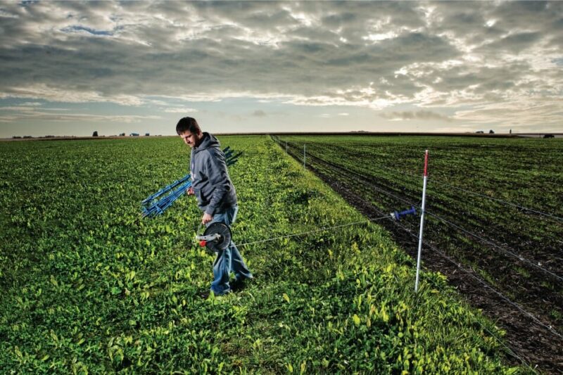 A Vision for Regenerative Iowa-Based Meat