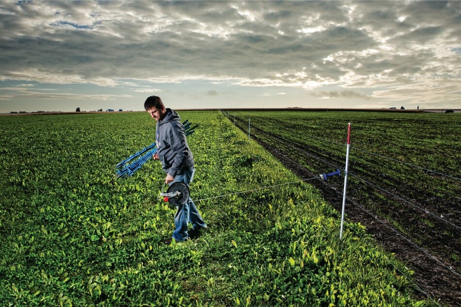 Nick Wallace divides a paddock for rotational grazing on his farm in Keystone, IA
