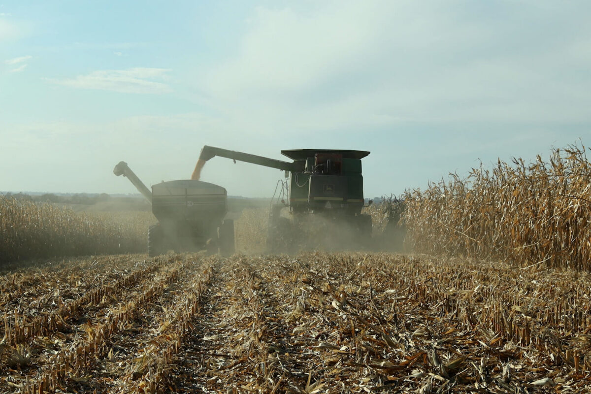Air Seeding Cereal Rye during Corn Harvest - Practical Cover Croppers