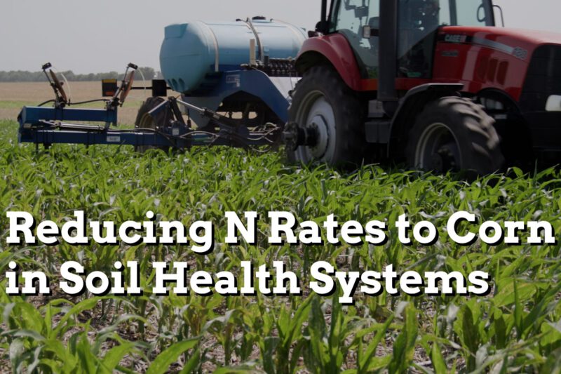 Farmer-led Research: Reducing N Rates to Corn in Soil Health Systems - Practical Cover Croppers
