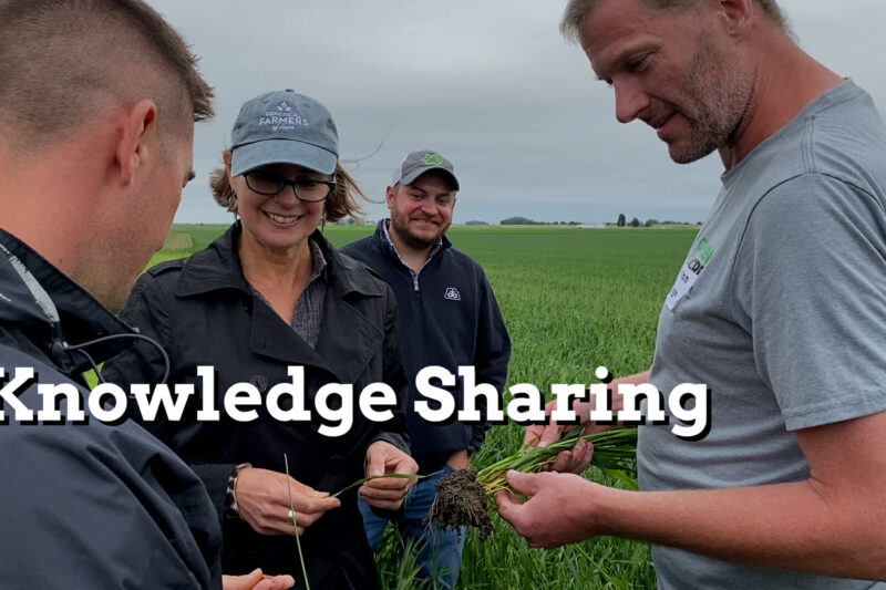 Cover Crops Spur Knowledge Exchange and Extend Farmer Networks - Practical Cover Croppers