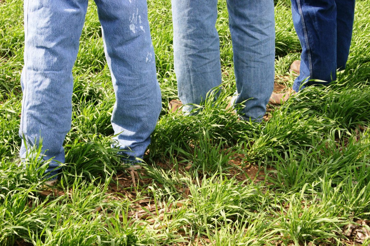 Registration open for PFI's Central Nebraska Cover Crop Workshop