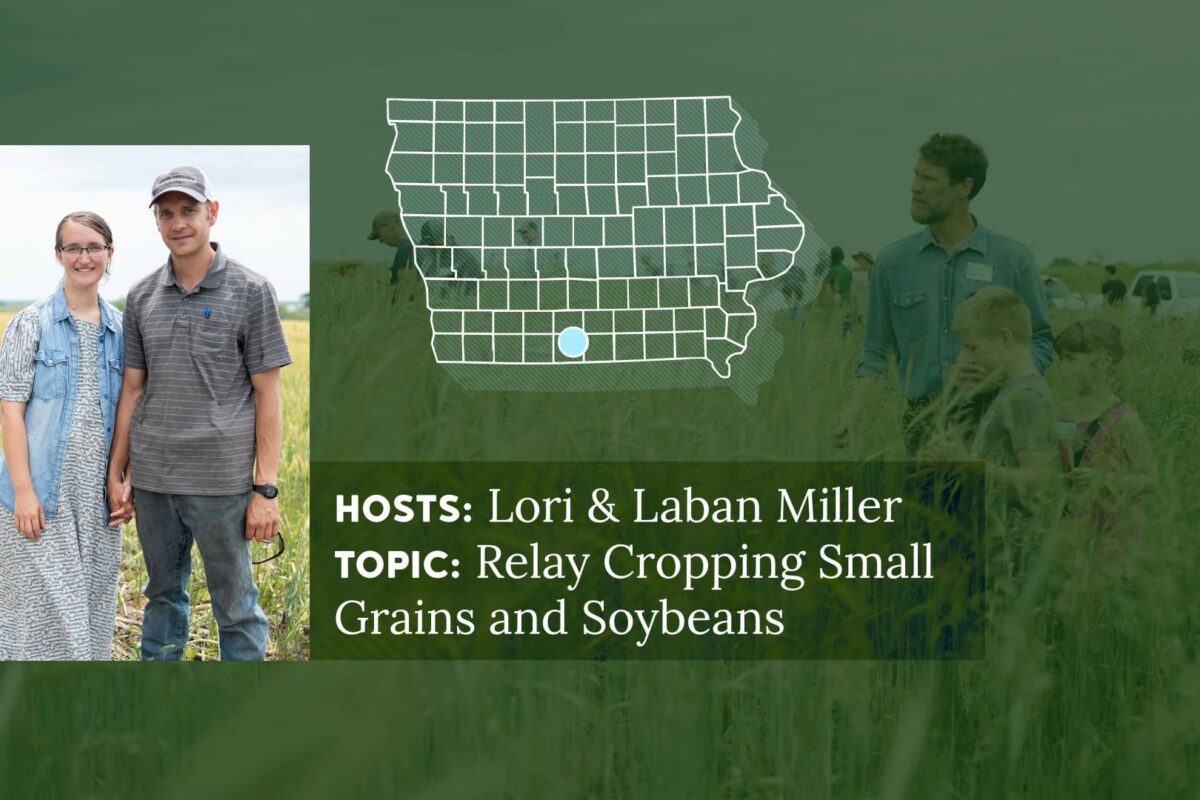 Relay Cropping Small Grains and Soybeans - Field Notes