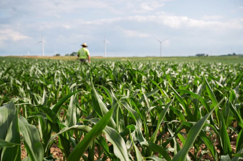 New Farmer-Led Research Explores Effectiveness of Biological Products