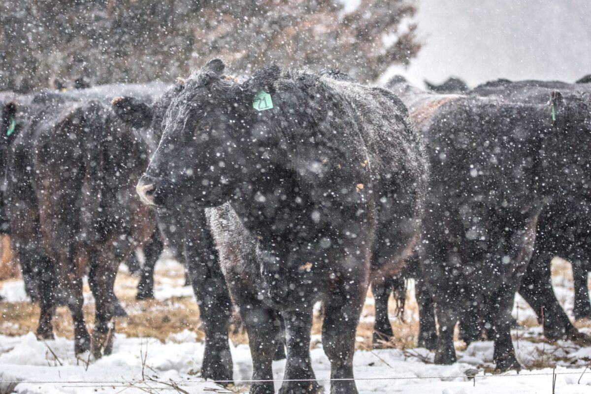 Practical Farmers of Iowa's 2024 winter webinar season starts Jan. 30