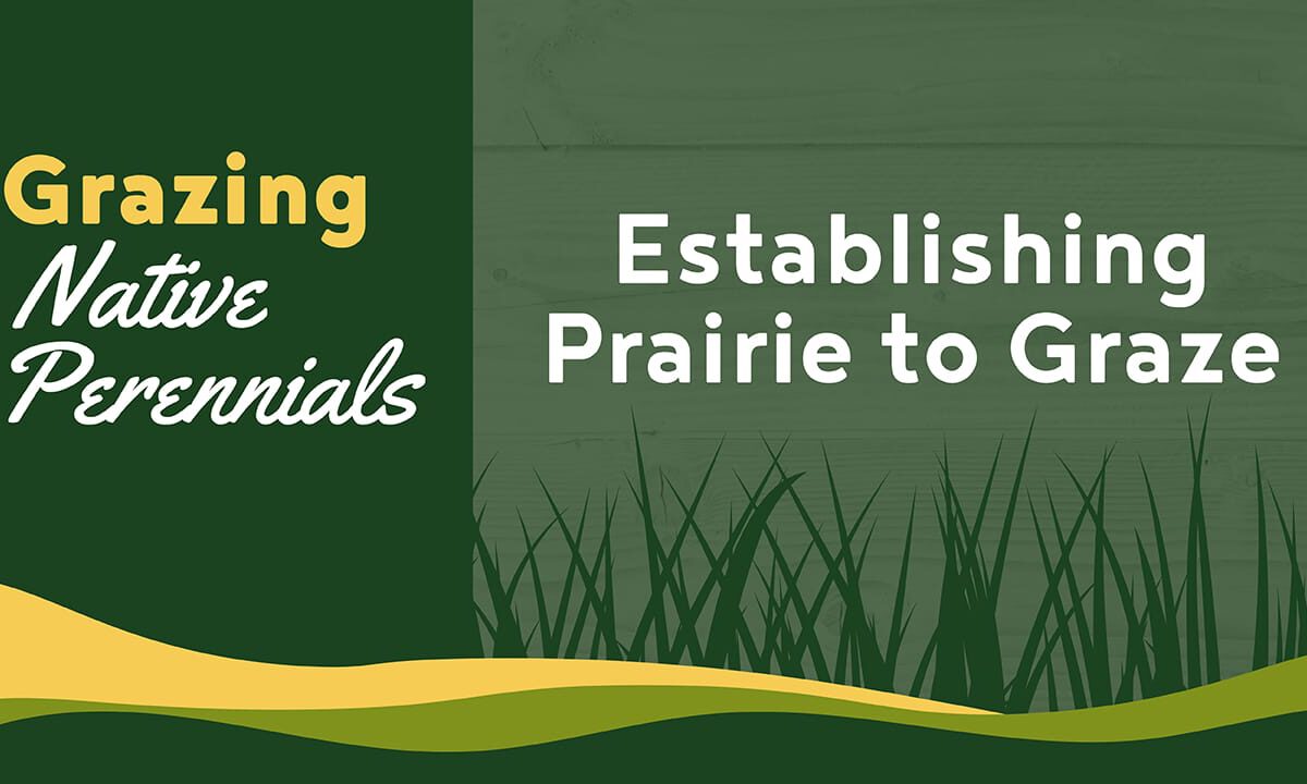 Establishing Prairie to Graze - Grazing Native Perennials
