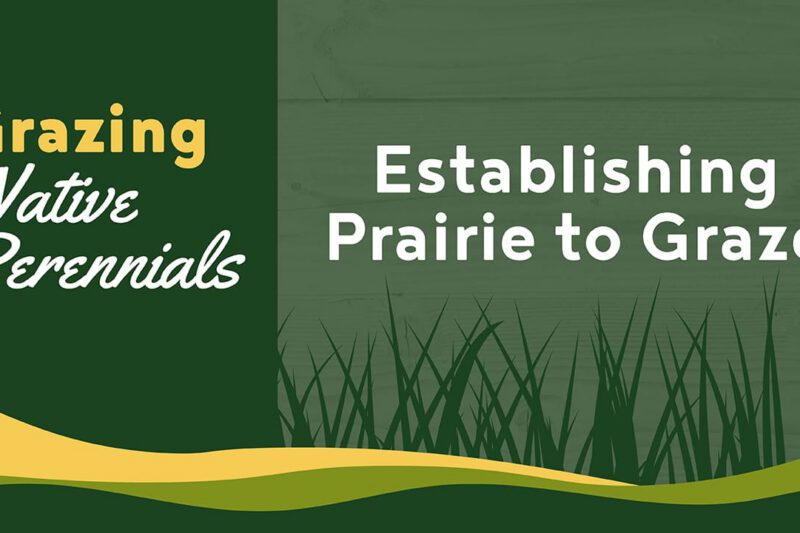 Establishing Prairie to Graze - Grazing Native Perennials