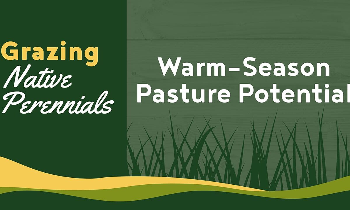 Warm-Season Pasture Potential - Grazing Native Perennials