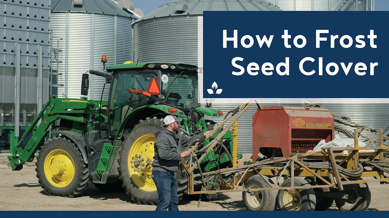 How to Frost Seed Clover - Practical Cover Croppers