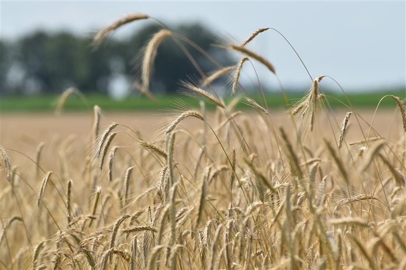 Third Annual Midwest Covers & Grains Conference Coming to Baraboo, Wisconsin on March 5