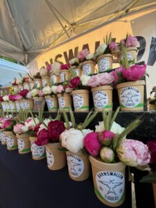 Peonies and Cereal Rye Nunnikhoven