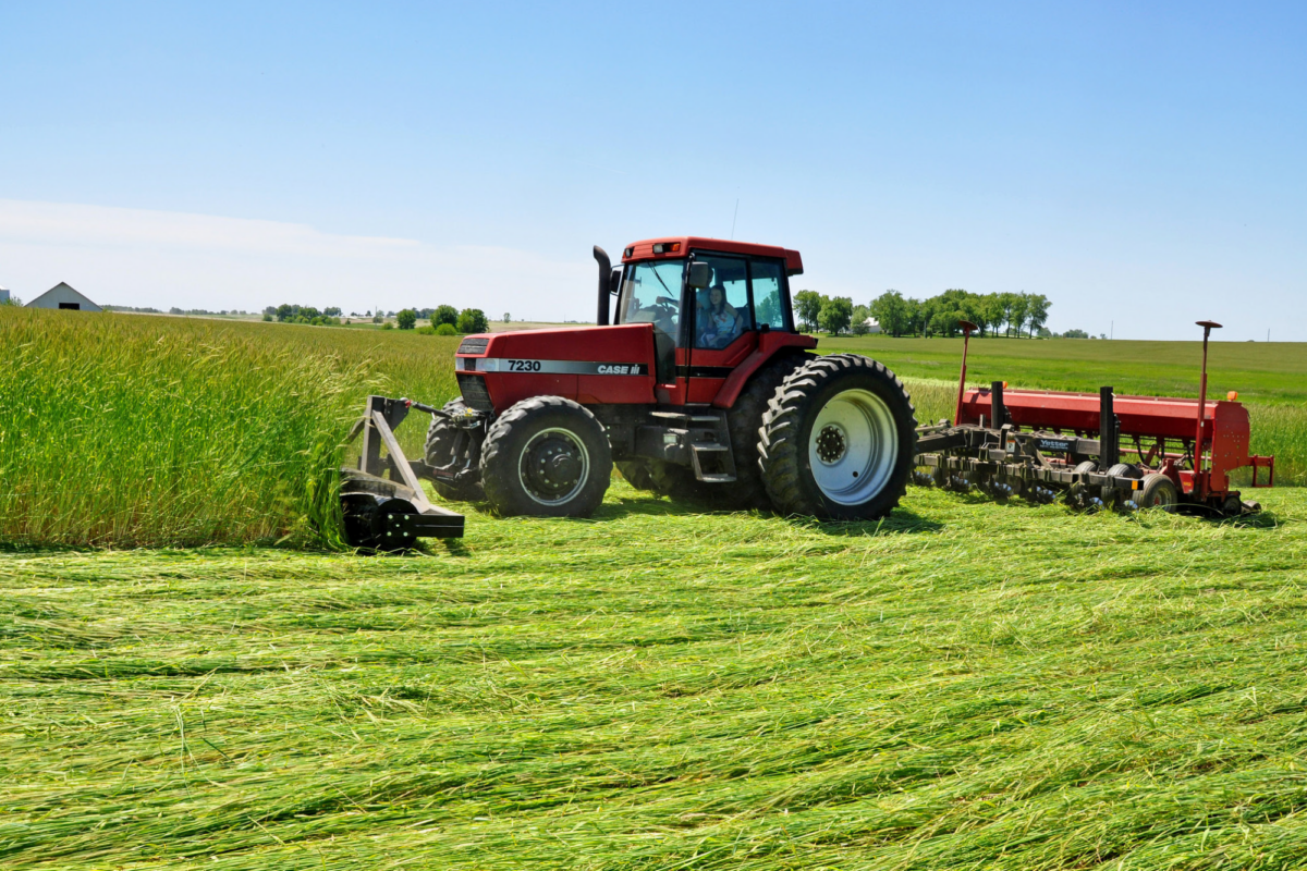 Roll-Crimping Cover Crops and Soybean Seeding Date