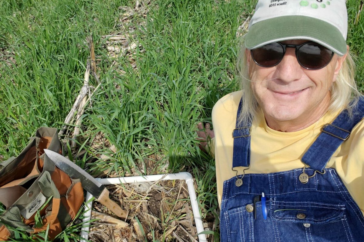 Are Soybean Seed Treatments Necessary?