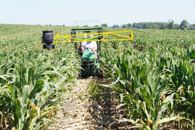 Effect of Seeding Date on Cover Crop Performance