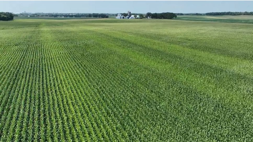 Can We Reduce N Rates to Corn and Improve ROI?