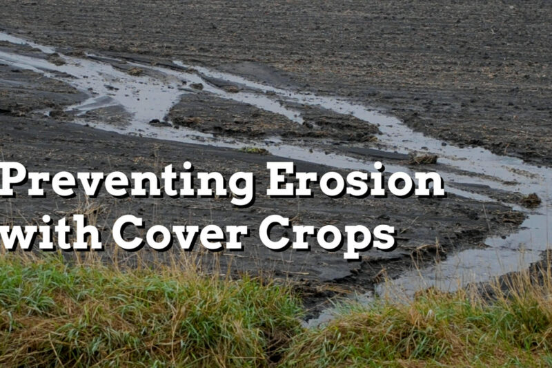 Preventing Erosion with Cover Crops - Practical Cover Croppers