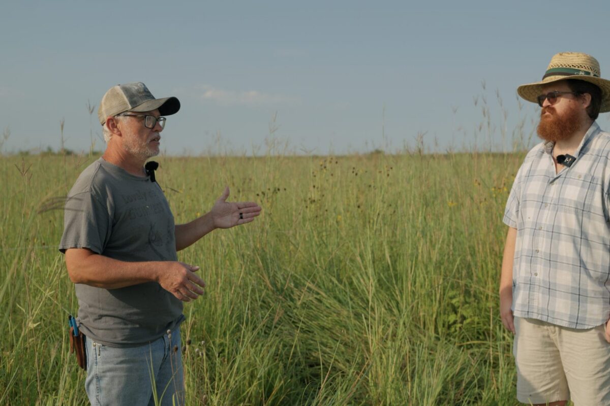 Revisiting the Native Warm-Season Pasture - Grazing Native Perennials