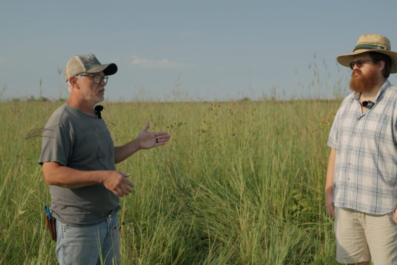 Revisiting the Native Warm-Season Pasture - Grazing Native Perennials