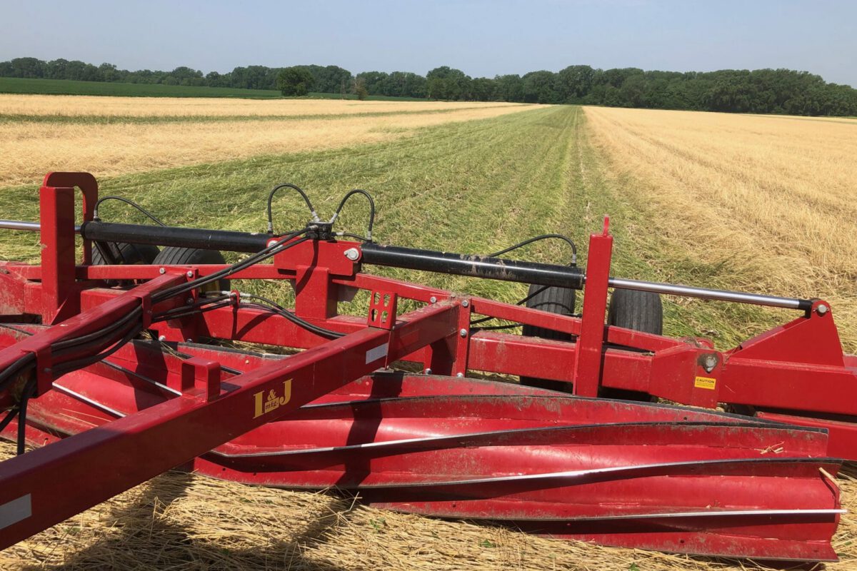 Timing of Roll-Crimping Rye Cover Crop and Planting Soybeans