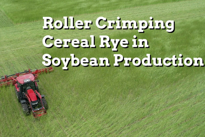 Roller Crimping Cereal Rye in Soybean Production - Practical Cover Croppers