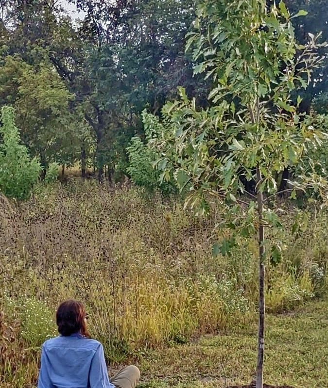 The Wonders of Windbreaks