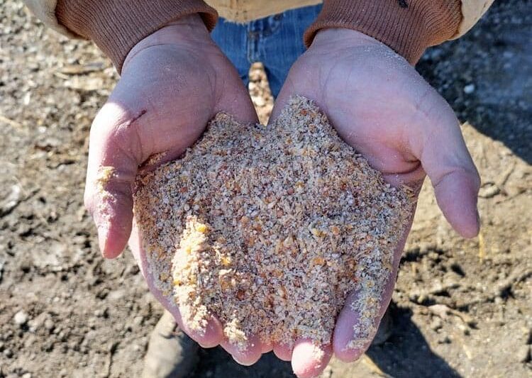 It's a Grind: On-Farm Milling of Livestock Feed