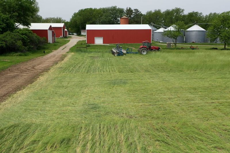 Momento para el prensado con rodillo de cultivo de cobertura de centeno y plantación de soja - Practical Cover Croppers
