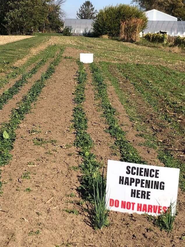 ScattergoodSpinachField ScienceHappeningHere