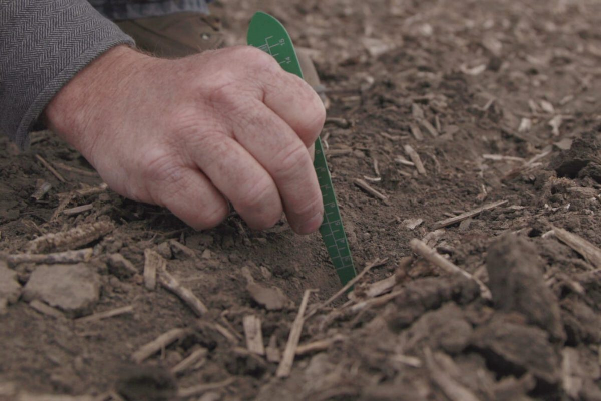 Seeding Rates and Depth Test for Drilling Oats - Practical Cover Croppers