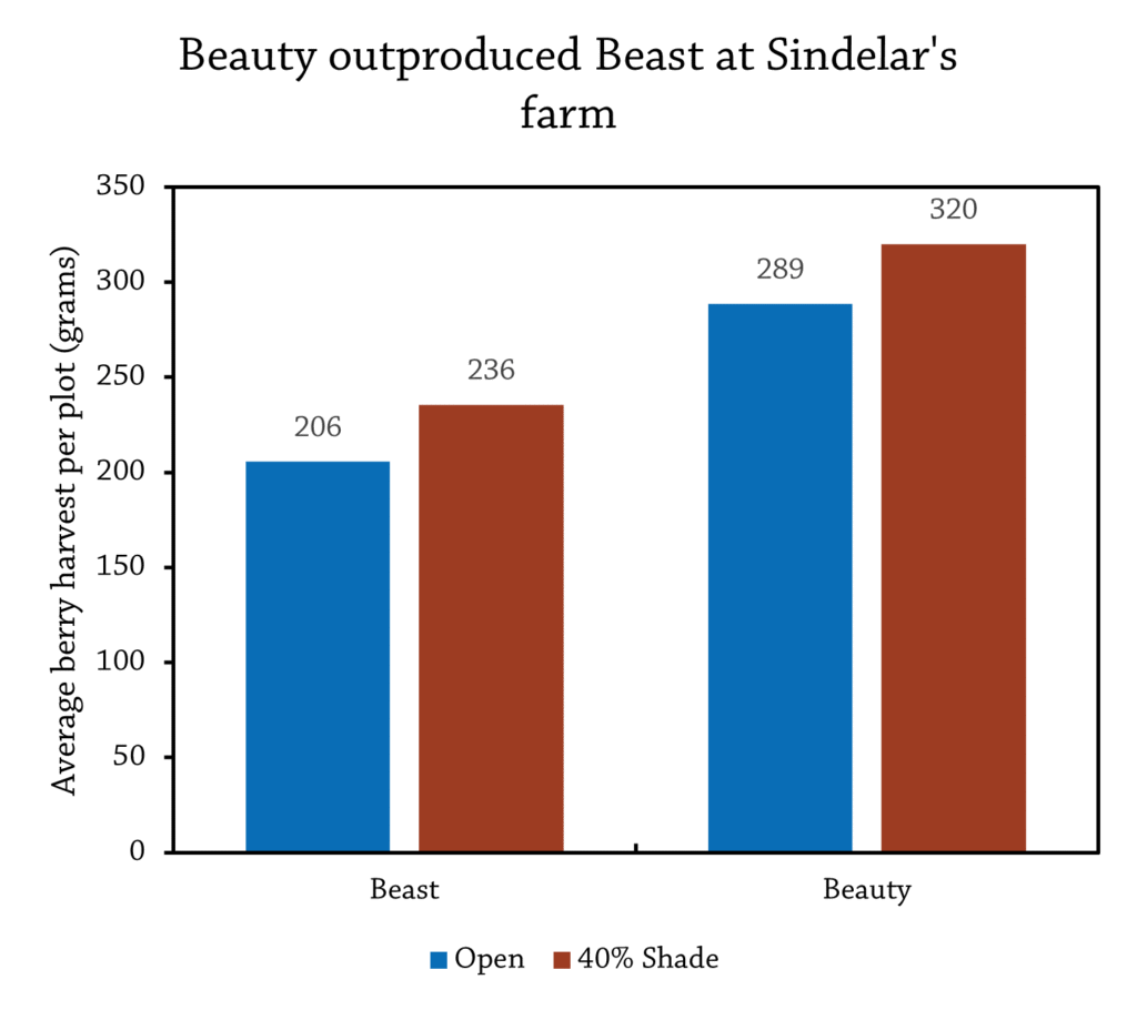 SindelarBerryYieldGraph