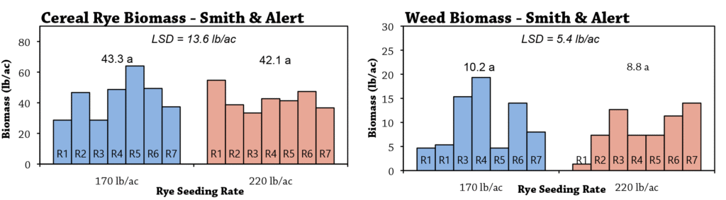 Spring rye organic weed control fig 1