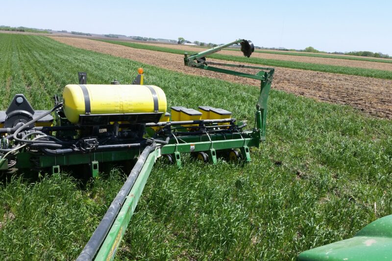 Corn Following Cereal Rye Cover Crops: Research Sheds Light on Planting Green