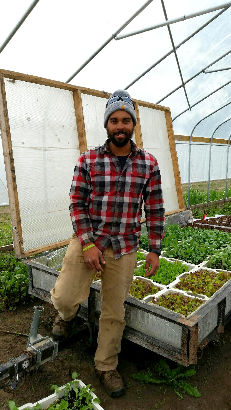 T.D. Holub of Garden Oasis Farm near Coggon.