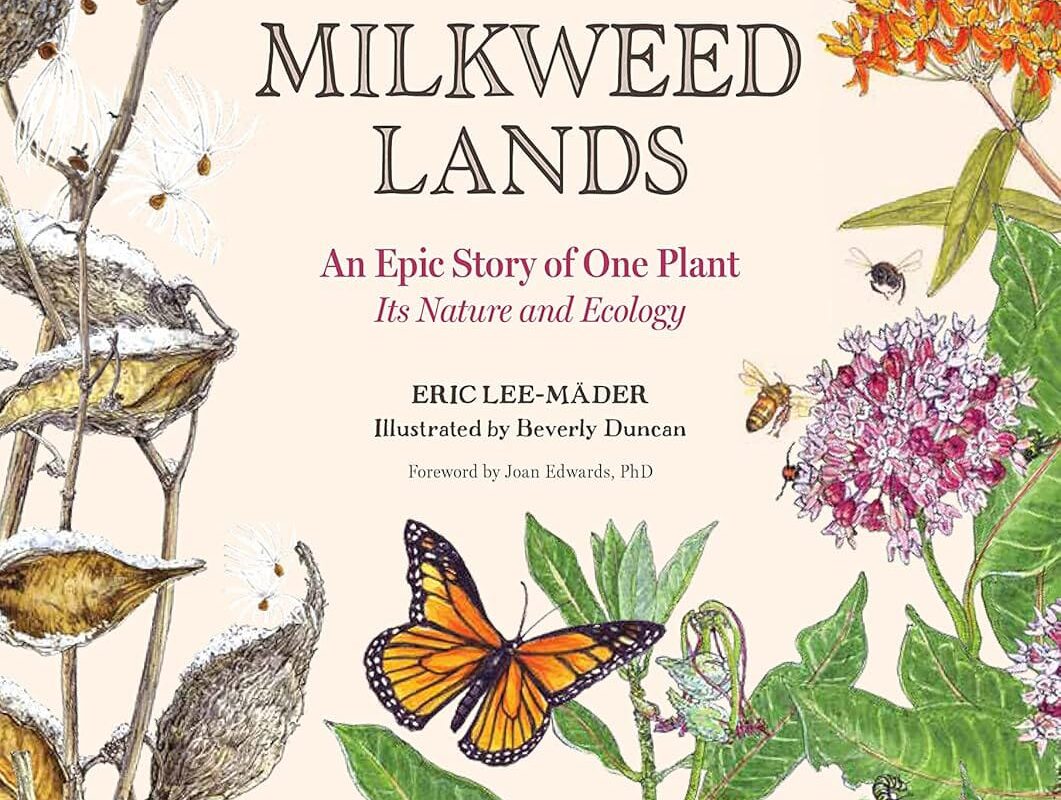 Review of Eric Lee-Mäder's “The Milkweed Lands”