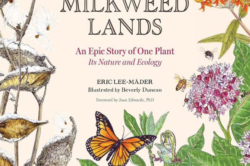 Review of Eric Lee-Mäder's “The Milkweed Lands”