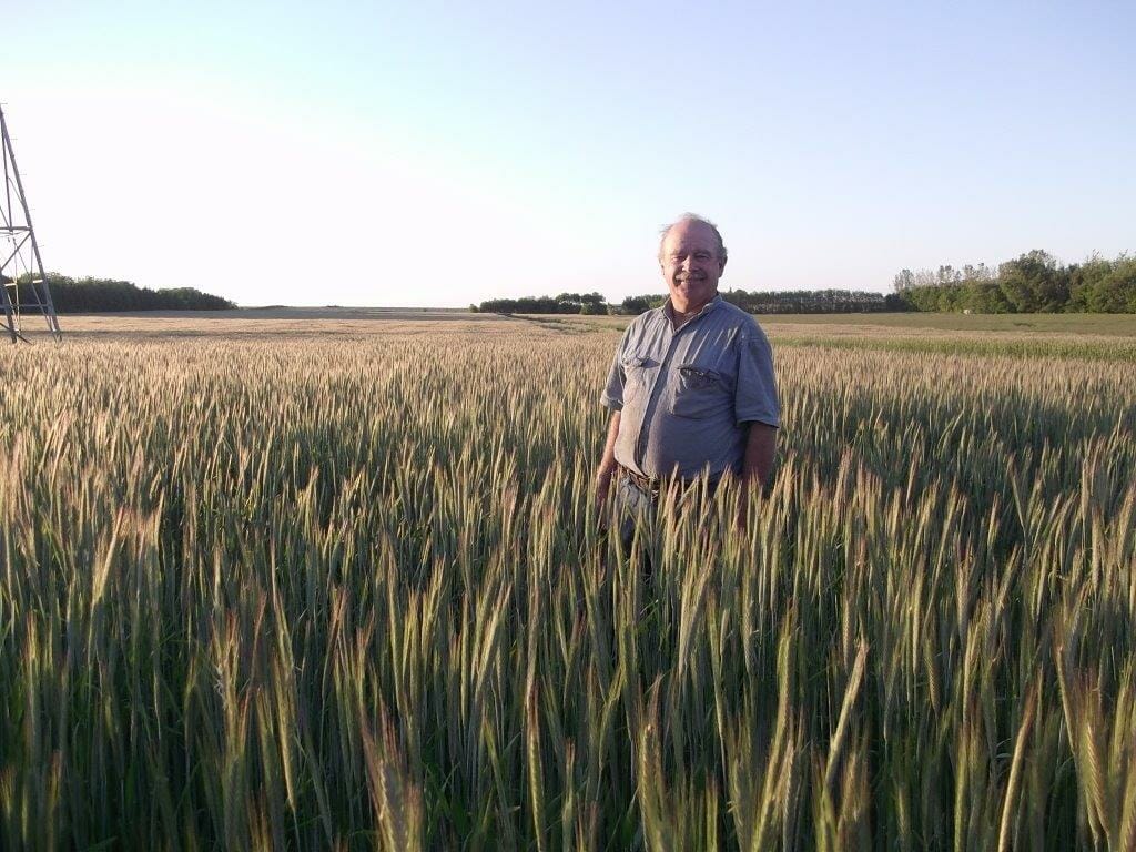 Tom Frantzen in his hybrid rye