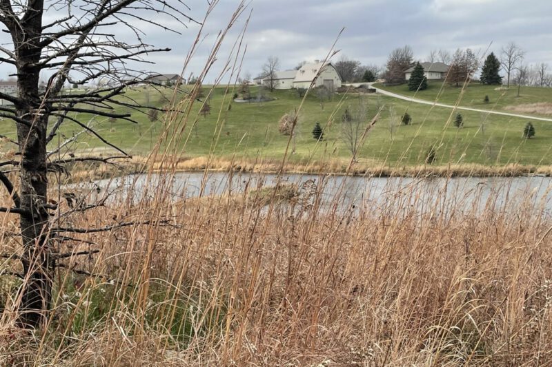 Nature's Classroom — Central College Students Gain New Understanding in On-Farm Habitat Practices