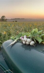 Wade Dooley cover crop