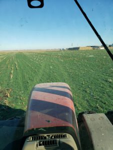 Wesley Degner November 2020, no cows yet
