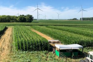 Zack Smith coined the term Stock Cropping, This is our answer for putting diversification and multiple species back on the land.