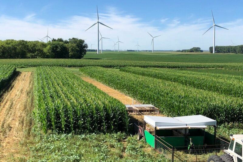 Crop-Livestock Integration: Three Ideas