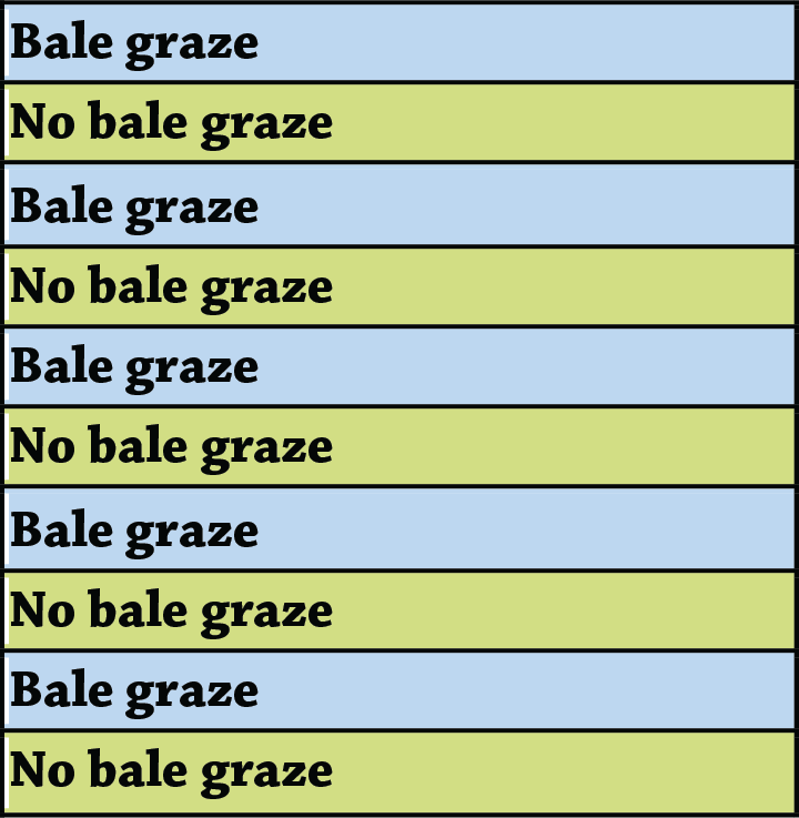 Bale figa1