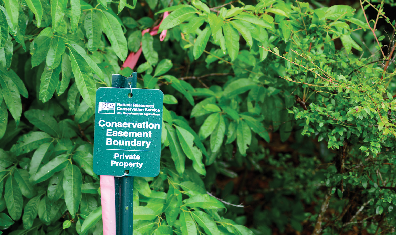 Conserving a Farm's Legacy