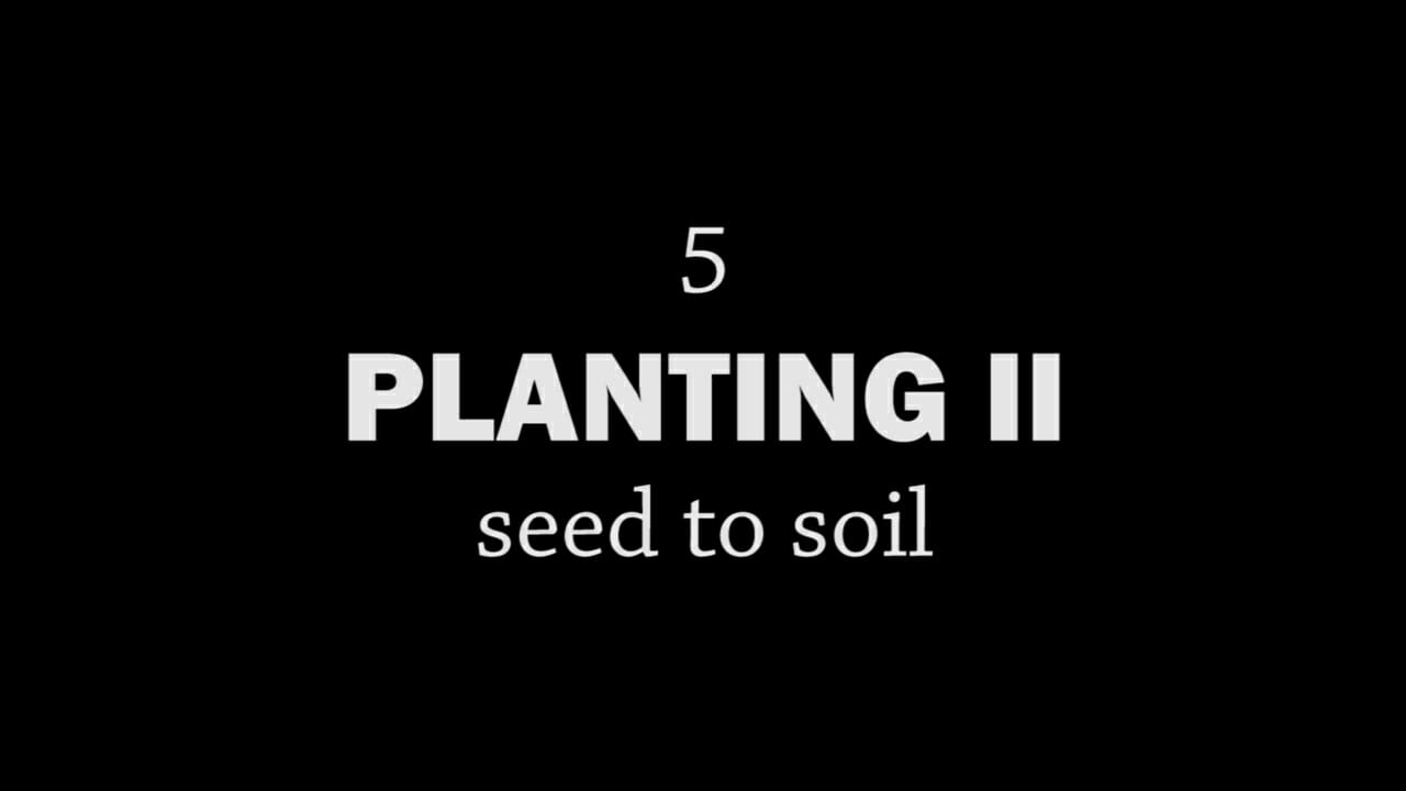 Rotationally Raised, Episode 5: Planting II, Seed to Soil