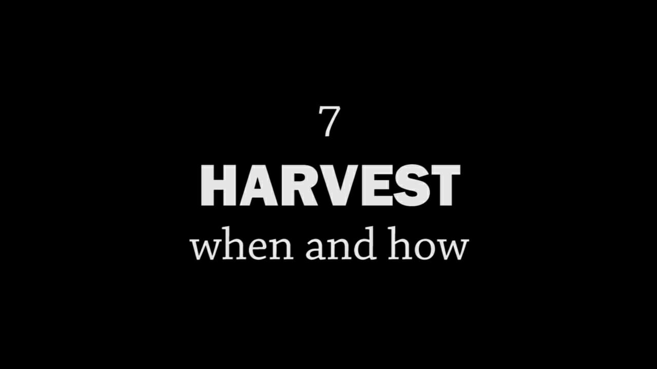 Rotationally Raised, Episode 7: Harvest, When and How