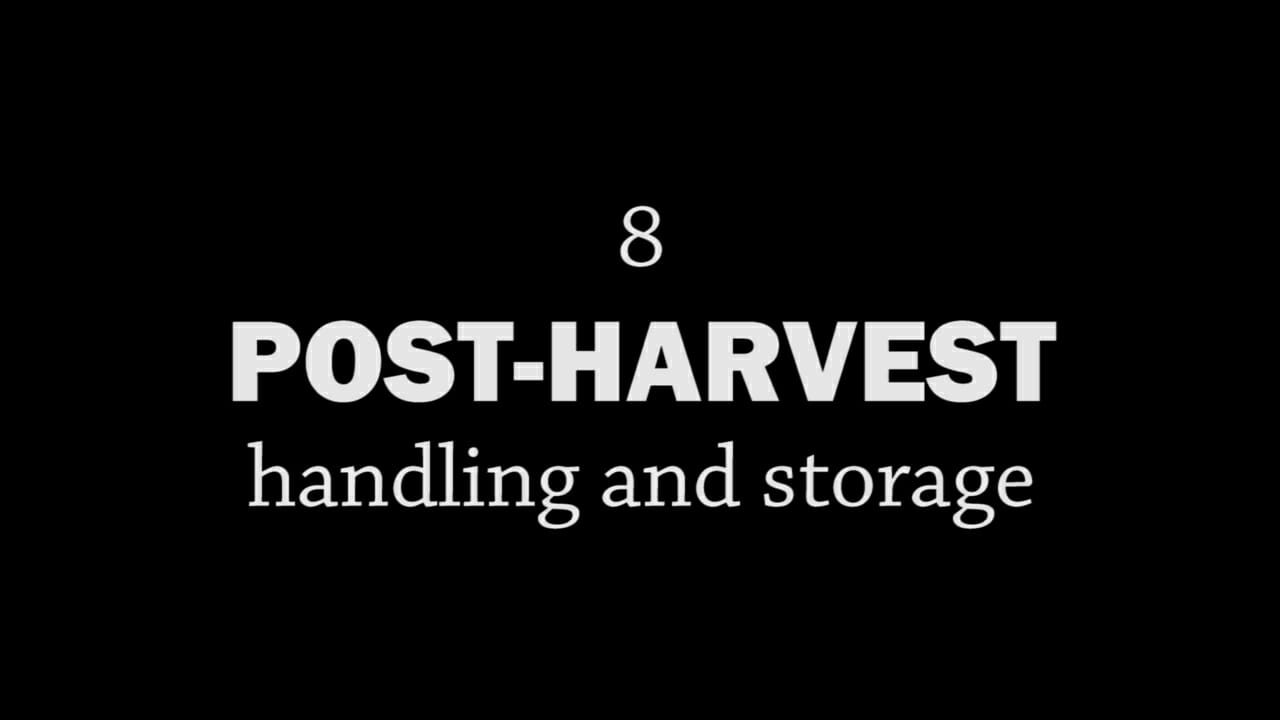 Rotationally Raised, Episode 8: Post-Harvest, Handling and Storage