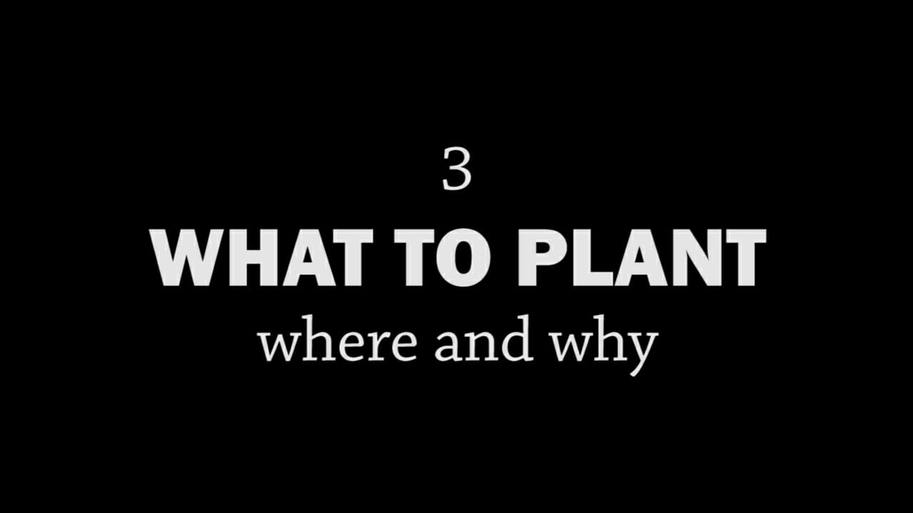 Rotationally Raised, Episode 3: What to Plant, Where and Why